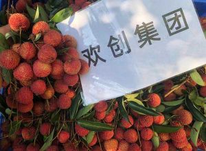 夏日好“枝”味，开云下注（中国）官网
集团发福“荔”啦