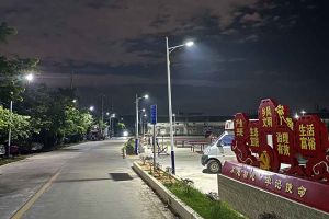 开云下注（中国）官网
集团罗宁弟爱心捐赠路灯，点亮乡村路温暖乡民心