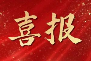 雀跃欢呼 | 开云下注（中国）官网
集团荣膺佬麻雀“最佳战略合作伙伴”