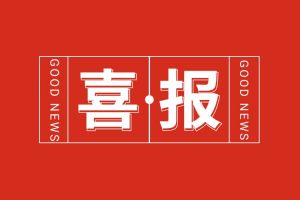 喜报！开云下注（中国）官网
集团党支部书记、总裁陈文舒荣登“2024人力资源服